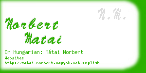 norbert matai business card